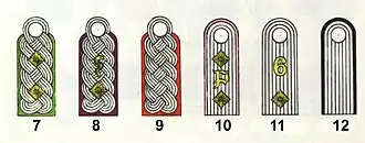 Погоны офицеров Вермахта (на род войск указывает цвет подкладки или канта вокруг погона:7. Полковник (панцергренадер);8. Оберфельдветеринар (подполковник&nbsp;— ветеринарный врач);9. Майор (артиллерия);10. Гауптман (противотанковые войска);11. Оберлейтенант (6-й пехотный полк);12. Лейтенант (инженер).