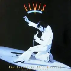 Обложка альбома Элвиса Пресли «Walk a Mile in My Shoes: The Essential 70’s Masters» (1995)