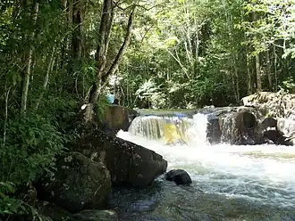 Водопад рядом с Парамакатой, Гайана