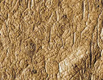 Лавовые завитки в болоте Цербера (ширина снимка&nbsp;— около 500 м)