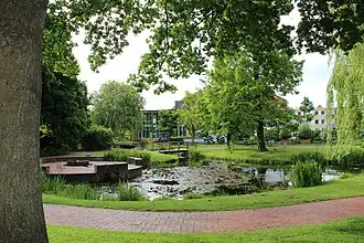 Городской парк Таленвейде