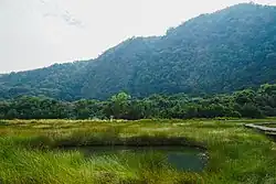 Участок водно-болотных угодий