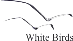 Изображение логотипа