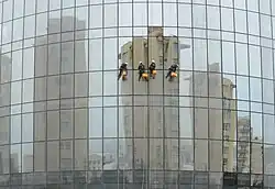 Фотография «Чистка», удостоенная в 2015 золотой медали I Международного салона фотографии «DONEGAL 2015» в Ирландии