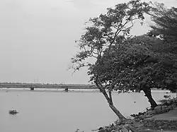 Река Вури около города Дуала