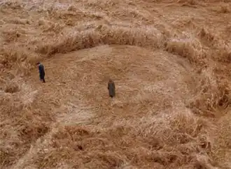 Малдер и Скалли обнаруживают круг на поле рядом с деревней исчезнувших «Родственников». Такая концовка была отрицательно воспринята некоторыми критиками.