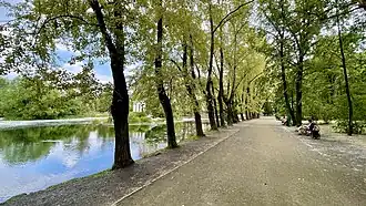 Аллея в парке