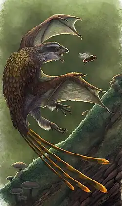 Реконструкция внешнего облика и чи