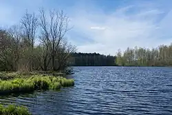 Юнтоловка в мае