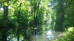 Жабенка, 2014 год