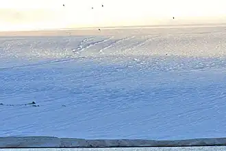 Вид на ледник из бухты Журавлёва