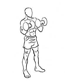 Подъем на бицепс Зоттмана