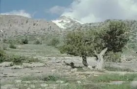 Вид на вершину Айрыбаба с высокогорного плато Кугитангтау, Лебапский велаят Туркменистана