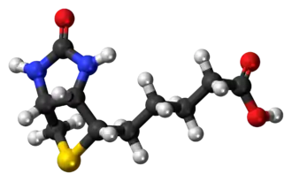 Изображение молекулярной модели