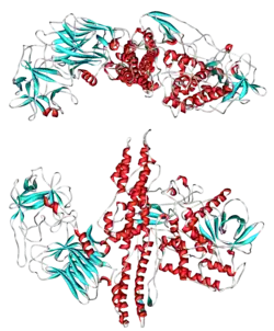 Изображение химической структуры