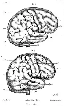 Вена Лаббе изображена на нижнем рисунке с подписью G. A. P.