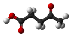 Изображение молекулярной модели
