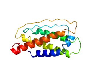 Модель пространственной структуры интерлейкина 7