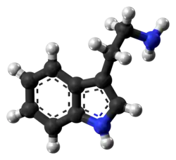 Изображение молекулярной модели
